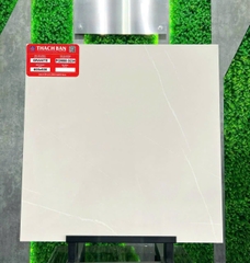 Gạch vân xi măng PGM60-0234