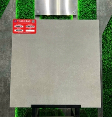 Gạch vân xi măng PGM60-0241