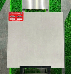 Gạch vân xi măng PGM60-0259