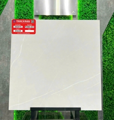 Gạch vân xi măng PGM60-0231