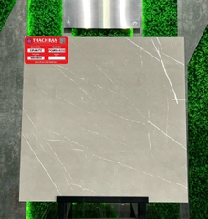 Gạch vân xi măng PGM60-0232