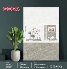 Gạch Vân Đá SGC 3602