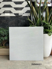 Gạch Vân Xi Măng 60x60 SMM66001