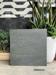 Gạch Vân Xi Măng 60x60 SMM66002