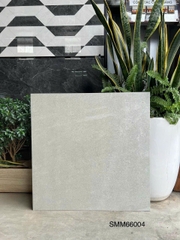 Gạch Vân Xi Măng 60x60 SMM66004