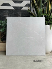 Gạch Vân Xi Măng 60x60 SMM66011