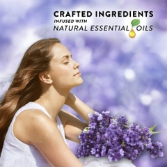 Bộ tinh dầu thơm cắm điện Air Wick Fresh Waters and Lavender Chamomile