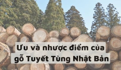 Ưu và nhược điểm của gỗ Tuyết Tùng Nhật Bản