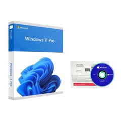 Phần Mềm Win 11 Pro 64bit Eng Lntl 1pk DSP Oei DVD (FQC-10528)
