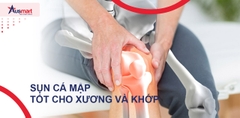 10+ Tác Dụng Của Sụn Cá Mập Đối Với Sức Khỏe