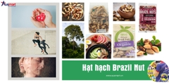 Công dụng của hạt hạch Brazil đối với sức khỏe