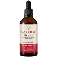 Chiết xuất thảo mộc hỗ trợ tiêu hóa từ vỏ rễ cây Hoàng liên gai Wanderlust Barberry