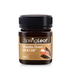 Mật ong Manuka Honey Springleaf MGO 550+ 250g