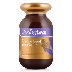 Viên uống chiết xuất hạt nho Springleaf Grape Seed 12000mg OPC 180 viên
