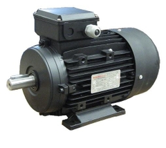 Động cơ TECP AEFC 3HP