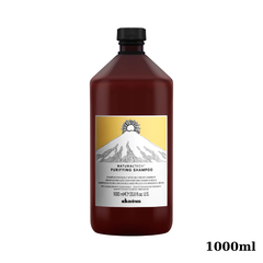 Davines Naturaltech Purifying Shampoo