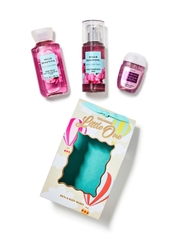 Bath & Body Works Mini Gift Set