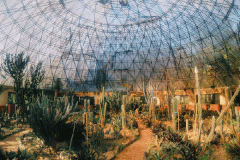 Du lịch Ba Vì - lựa chọn hoàn hảo cho ngày cuối tuần