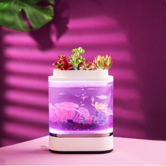 Bể cá thủy sinh mini Xiaomi HFJH C300