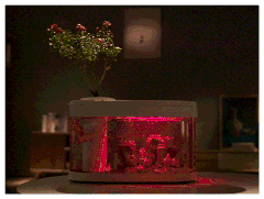 Bể cá thủy sinh mini Xiaomi HFJH C180