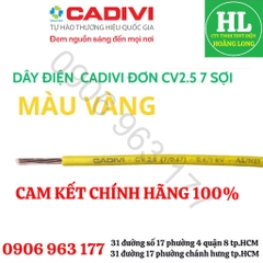 giá 1 mét - Dây điện CADIVI đơn CV/LF 10 Chính hãng
