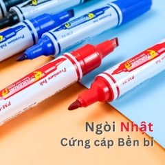 Bút lông dầu lớn Queen Pm 01