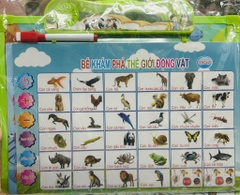 Bảng đọc song ngữ không hộp