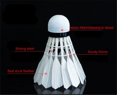 Cầu Lông Zhibo Sport 007