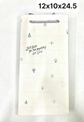 Túi giấy dọc dài số 3 B35 (12x10x24.5cm)