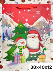 Túi quà Noel 3D lớn FD8868L