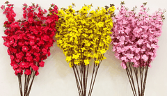 Mai, đào cành cổ thụ ngắn