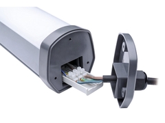 Đèn led chống ẩm WT169C LED20 NW/CW L600 PSU Philips