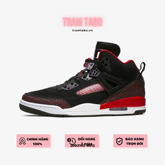 [315371-060] M AIR JORDAN SPIZIKE 