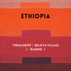 Cà phê túi lọc Ethiopia Washed 10 gói/ hộp
