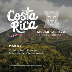 Cà phê túi lọc Costa Rica Jaguar 10 gói/ hộp