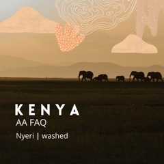 Cà phê túi lọc Kenya 10 gói/ hộp