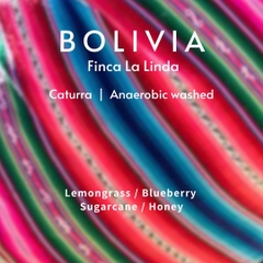 Cà phê túi lọc Bolivia 10 gói/ hộp (HẾT HÀNG - SOLD OUT)