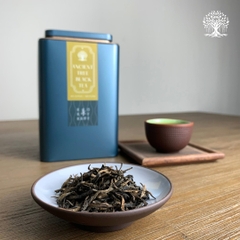 Trà San Tuyết Cổ Thụ Việt Nam