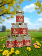 VINNEST PLUS -  YẾN SÀO 25% ĐƯỜNG PHÈN ( QUAI XÁCH )