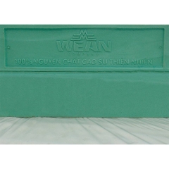 NỆM CAO SU THIÊN NHIÊN TRÀ XANH 2026