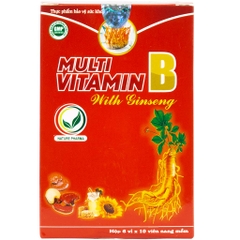 Viên Uống Bổ Sung Vitamin B Tổng Hợp Và Nhâm Sâm (Hộp 180 viên)