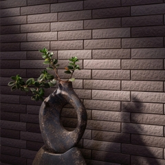 𝐂𝐄𝐋𝐀𝐕𝐈𝐎 𝐆𝐑𝐀𝐍 𝐕