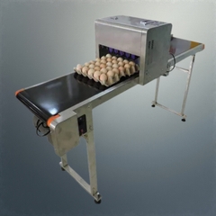 Máy In Date Công Nghiệp DP16A