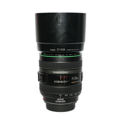 Canon EF 70-300mm f/4.5-5.6 DO IS USM (Used)