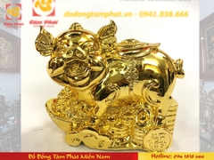 Các mẫu tượng con heo nằm trên tiền cổ mạ vàng