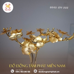 Hoa lan mạ vàng 24k - Quà tặng sếp nữ - quà tặng tết