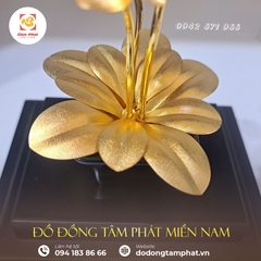 Hoa lan mạ vàng 24k - Quà tặng sếp nữ - quà tặng tết