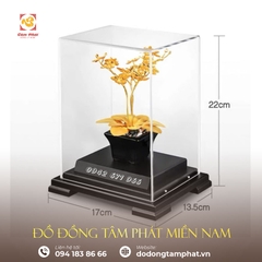 Hoa lan mạ vàng 24k - Quà tặng sếp nữ - quà tặng tết