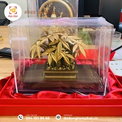 Cây Kim Ngân Tài Lộc - Quà tặng phong thủy