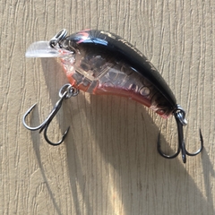 Mồi Lure Bantam Macbeth Tiny 5G
